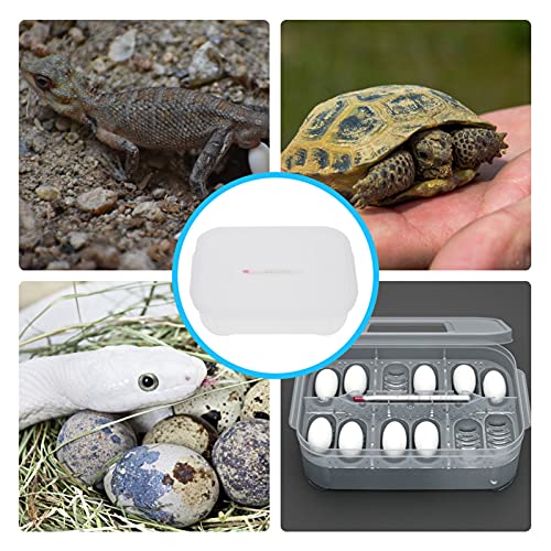 ERINGOGO 1pc Reptile Breeding Box Thermometer for Hatching Gecko Lizard and Other Reptile Eggs Lightweight and Compact Incubator Tray for Easy Use