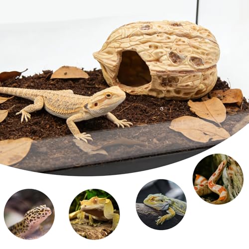 Reptile & Amphibian Habitat Hideouts, Resin Walnut - 7.09 × 4.92 × 3.94 inch Realistic Large Walnut Shape Habitat Decor, 2-Entrance Safe Hide for Leopard Gecko Bearded Dragon Snake