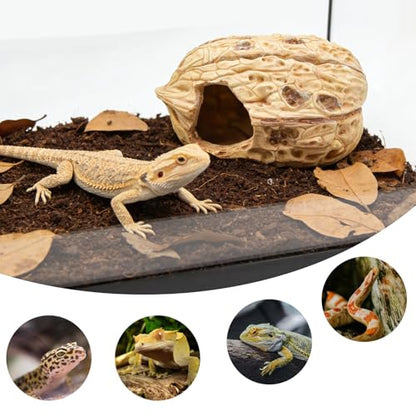 Reptile & Amphibian Habitat Hideouts, Resin Walnut - 7.09 × 4.92 × 3.94 inch Realistic Large Walnut Shape Habitat Decor, 2-Entrance Safe Hide for Leopard Gecko Bearded Dragon Snake