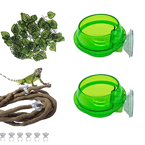 PINVNBY Reptile Suction Cup Feeder,Chameleon Feeding Food Bowl,Translucent Anti Escape Worm Live Fodder Container,Pet Ledge Water Dish Supplies for Lizard Gecko Bearded Dragon(4 Pcs) - size: 【2 PCS】