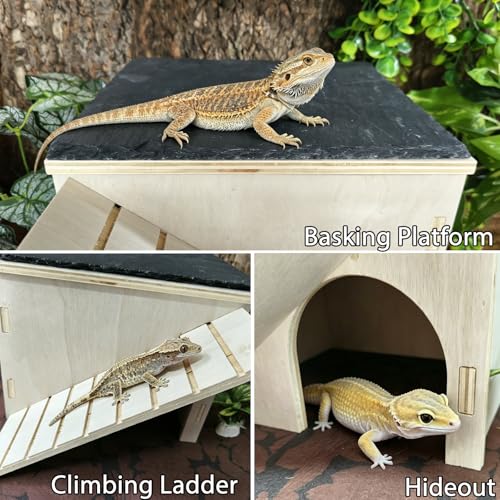 Bearded Dragon Basking Platform Wood Reptile Hide Cave Gecko Hide | Medium,9.1"×7.8"×7.1",Detachable,Installation Instructions,with Slate Rock Mat,for Gecko Chameleon Snake Crested Gecko - size: Medium