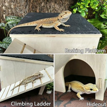 Bearded Dragon Basking Platform Wood Reptile Hide Cave Gecko Hide | Medium,9.1"×7.8"×7.1",Detachable,Installation Instructions,with Slate Rock Mat,for Gecko Chameleon Snake Crested Gecko - size: Medium