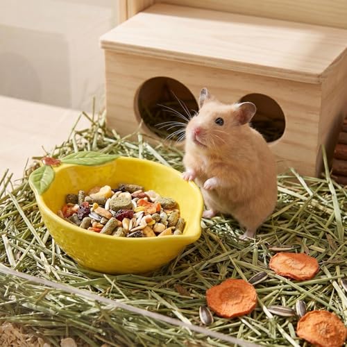 Ceramic Lemon Pet Hamster Bowl, Easy to Clean Anti Flipping Guinea Pig Food and Water Bowl Small Animal Bowls for Parrots Rabbit Hedgehog Squirrel Golden Bears Hamster cage Accessories