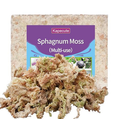 Sphagnum Moss 34QT for Plant Propagation, Great Orchid Potting Mix, Help with Maintain Humidity, 10oz - size: 10oz