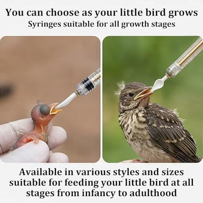 Baby Bird Feeding Syringe Set, Small Pet Parrot Feeding Tubes for Birds, Hand Feeding Tubes Kit Parrot Feeder Food Feeding & Watering Supplies for Small Pet Baby Birds (23 Pcs) - color: 23 Pcs