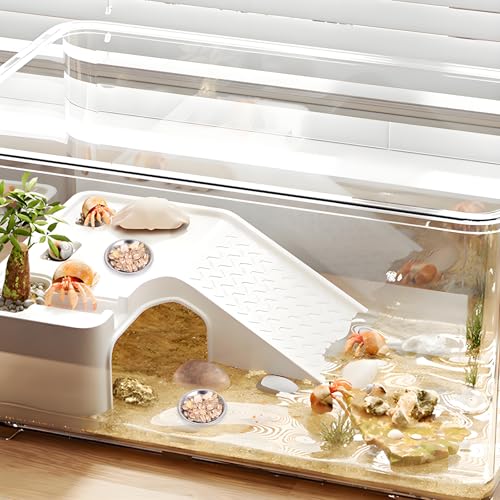 SynHHergyx 4 Pcs Hermit Crab Food & Water Bowl, Small Stainless Steel Feeding Dish for Hermit Crab, Snail, Gecko, Insect