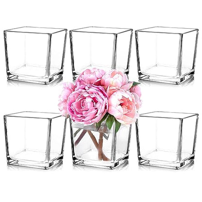 6 Pack Square Glass Vases 5" x5" x 5", Clear Flower Vases | Candle Holder for Centerpieces, Wedding Party Home Decor - size: 5inch