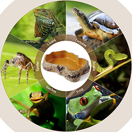 Reptile Food Water Resin Rock Bowls Lizard Gecko Worm Feeding Dish Mini | Amphibian Feeder Bowl Terrarium Decor for Bearded Dragons, Chameleon, Leopard Gecko Frog Snake Hermit Crabs Turtle Spider Pet - size: Mini