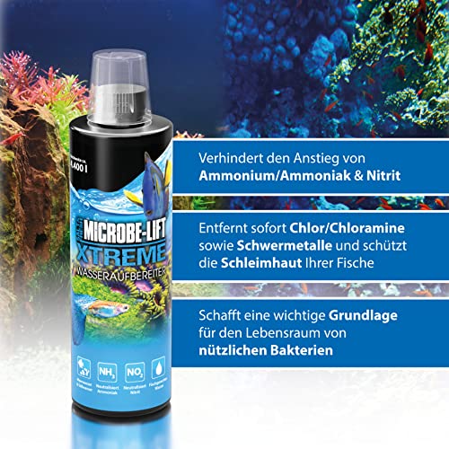 Microbe-Lift Xtreme Water Conditioner Treatment for Aquariums and Fish Tanks, All-in-One Treatment for Freshwater and Saltwater Fish Aquarium, 1 Gallon