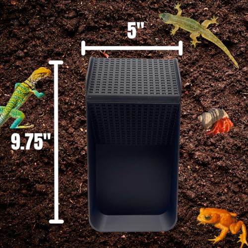 Hermit Crab, Lizard, Turtle, Amphibian XL Watering Pool | Platform Pool Accessory with Access Ramp for Pet Habitats | 9.75" x 5" | Made in USA (X-Large) (Fresh Only, Black) - color: Fresh Only, Black