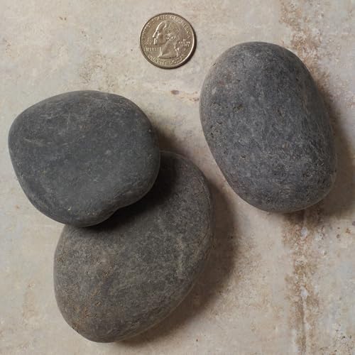 Royal Imports Flat River Rocks for Painting Craft Rocks – Grey Large 5lbs | Vase Filler Aquarium Gravel Smooth Stones for Arts & Crafts Fish Tank Gravel, Terrariums, Home Decor DIY & Crafting Projects - size: Large - 5 lbs