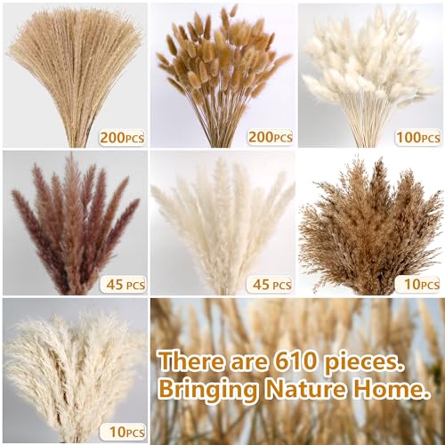 610 PCS Dried Pampas Grass Decor, Dried Flower Bouquets for Wedding, Home, Centerpiece Table, Modern Home, Western Living Room, Nurserie, Nursery, Boho Room, Beach, Women Office, and Boho Decor