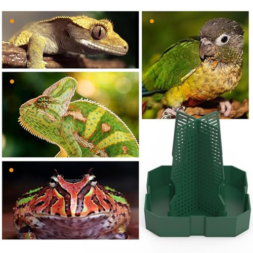 Reptile Dish Anti-Escape Superworm Feeder Live Worm Organizer Climb Column | Chameleon for Indoor Outdoor Tank Aquarium Accessories Gecko Lizard Bearded Dragon Snake Tortoise Reptile Spider