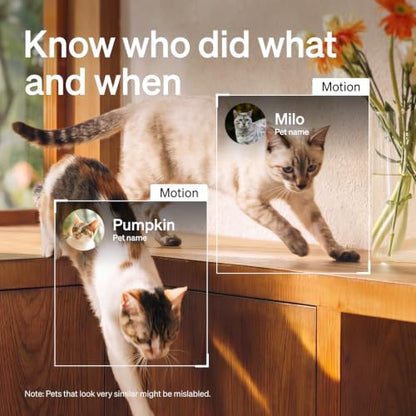PETLIBRO AI Dog Camera Pet Camera Indoor with Phone App [Multi-Pet Recognition, Daily Activity Analysis & Smart Summaries] Cat Cam 360° View, 1080P Dog Cam Night Vision, 2-Way Audio Home Camera WiFi - color: White, size: with 7-Day AI Trial