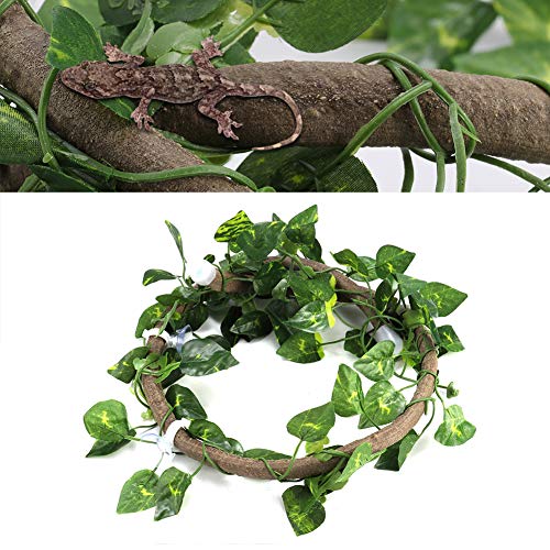 Tropical Terrarium Plants Fake Jungle Vines Set with Pothos Leaves, Naturalistic Climbing Vines for Reptile Habitat Decor, Bioactive Vivarium (Vinegar + Green Ivy Leaves)