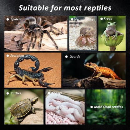 6 Pcs Spider Micro Water Bowls, Mini Resin Dish for Tarantula, Spider, Millipede and Tiny Reptiles, Food/Water Dish for Enclosure Accessories (1.65" D, 0.59" H) - size: Large- 6pack
