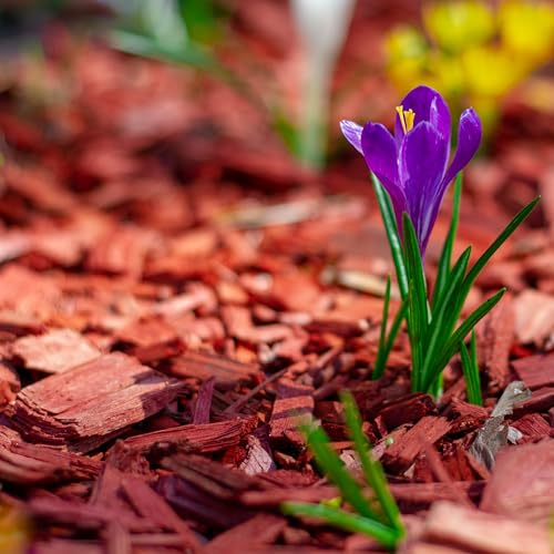 Premium Red Wood Mulch for Indoor, Patio, Potting Media, Gardens, Lawns, and Landscaping (0.2 CF - 4.8 L - 5 QTS) - color: Red Wood Mulch, size: 0.2 CF - 4.8 L - 5 QTS