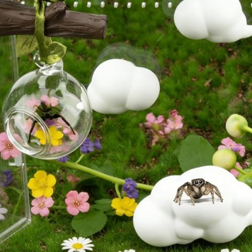 4 Pack Jumping Little Creatures Habitat Glass Ball Hideout Platform Shelf, Transparent Terrarium Decor with Tree Trunk Garden Courtyard, White