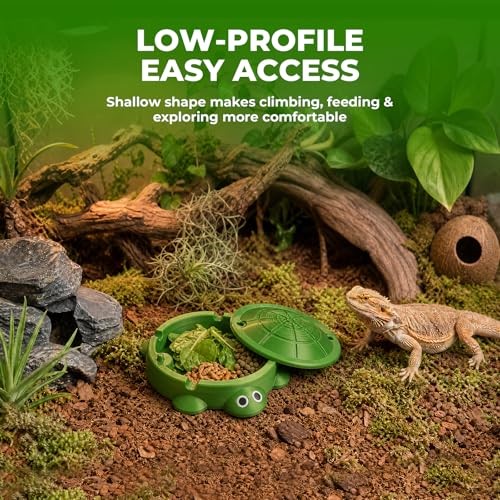 Bearded Dragon Dig Box & Reptile Food Dish, Medium | Medium Terrarium Accessory for Feeding and Digging; Suitable for Bearded Dragons, Turtles, and Other Small Reptiles