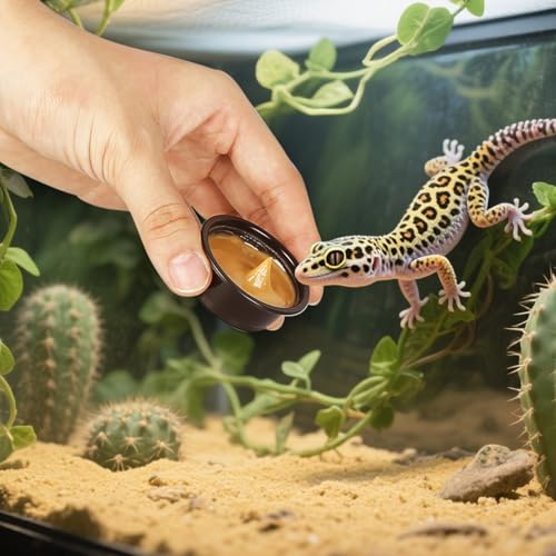Plastic Gecko Feeding Cups, 0.5 oz Small Terrarium Bowls Reptiles Food Water Feeder Ledge Cups for Lizars,Bearded Dragon,Snake,Frogs (300Pack Black)