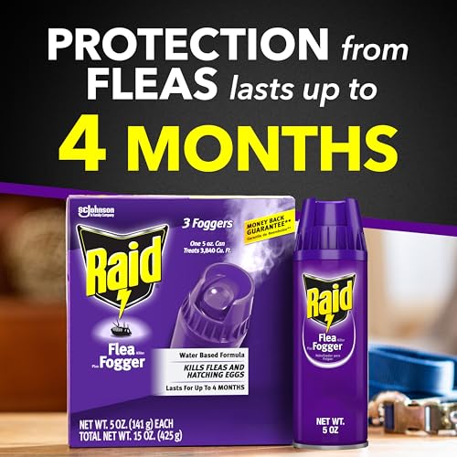 Raid Flea Fogger Plus Killer, Kills Fleas and Hatching Eggs, Lasts for up to 4 Months, Indoor Fogger, 3 Count (Pack of 3)