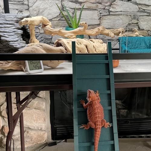 Bearded Dragon Ramp Ladder, Natural Material Reptile Climbing Bridge and Tank Accessories, Versatile Ladder Bridge and Climbing Decor for Lizards and Reptiles (No Hooks 7in(Contains Five ladders))
