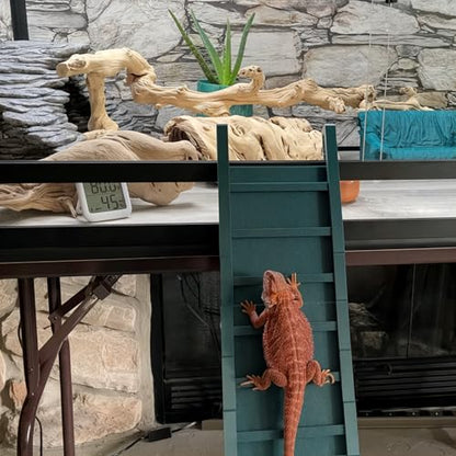 Bearded Dragon Ramp Ladder, Natural Material Reptile Climbing Bridge and Tank Accessories, Versatile Ladder Bridge and Climbing Decor for Lizards and Reptiles (No Hooks 7in(Contains Five ladders))
