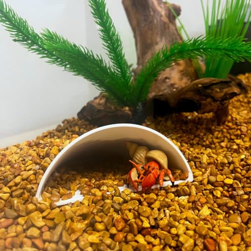 REEFSHAPE Aquarium or Terrarium Pocket Cave | Minimalist Shelter Cave for Fish, Shrimp, Reptiles, Amphibians, & More! | Made in USA (Pocket Cave, White) - style: Pocket Cave, White