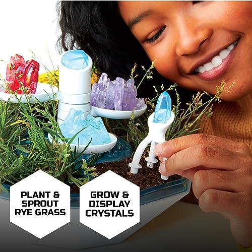 Discovery™ DIY Light-Up LED Terrarium - Plants & Crystals Geodome Grow Kit, 3 Colorful Crystal Formations, Rye Grass, Education STEM Activity Set, Indoor Science Experiment, Chemistry Gift