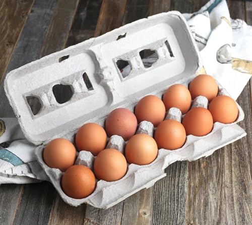 MT Products Printed Empty Egg Cartons Holds 12 Eggs - Cardboard Crate for Eggs (Pack of 250) - Made in USA - size: Large