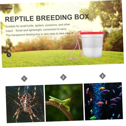 VANZACK 1pc Reptile Feeding Box Insect Cup for Mini Turtles Betta Fish and Jellyfish Lightweight Safe Ventilation Lid