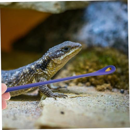 SUPVOX 2pcs Reptile Feeding Spoon Ergonomic Handle Pet Food Scoop for Lizards and Small Animals Safe Stainless Steel Convenient Design for Easy Feeding