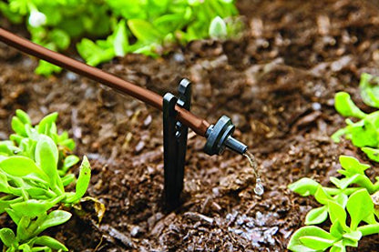 Raindrip SDFSTH1P Automatic Drip Irrigation Watering Kit with Timer for Flowers, Shrubs, and Trees, Waters up to 10 Plants, Includes Timer with Customizable Settings, 2 GPH Drippers - color: Timer, style: Flowers, Shrubs & Trees