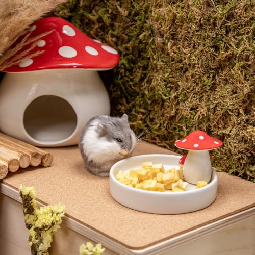 Niteangel Hamster Feeding & Food Bowls: Mushroom Ceramics & Chew-Resistant | Easy to clean & Stable Food Dish Feeding Bowls for Dwarf Syrian Hamsters Gerbils Mice Rats or Other Similar-Sized Small Pets - size: Feeding Bowl