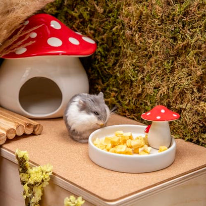 Niteangel Hamster Feeding & Food Bowls: Mushroom Ceramics & Chew-Resistant | Easy to clean & Stable Food Dish Feeding Bowls for Dwarf Syrian Hamsters Gerbils Mice Rats or Other Similar-Sized Small Pets - size: Feeding Bowl