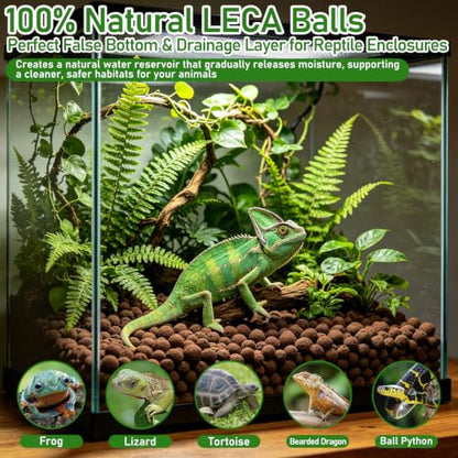 Riare 10LBS Expanded Clay Balls Terrarium Substrate for Reptiles - 100% Organic Lightweight Clay Pebbles Substrate Frogs False Bottom Substrate, Bioactive Terrarium Substrate for Drainage and Moisture - color: 10LB