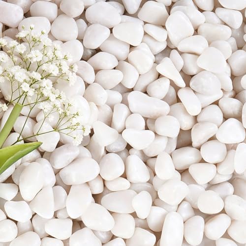 5 lbs White Gravel, 1/2 Inch Garden Pebbles, Decorative Rocks for Potted Plants,Suitable for Vases, Cactus Potted Plants, Fish Tanks - color: White, size: 1/2 Inch 5 LB