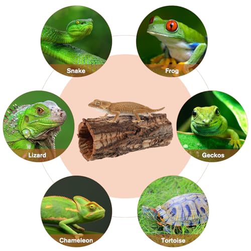 POPETPOP Reptile Hideout Cork Bark: Wood Tree Trunk Climbing Hide Terrarium Decor Shelter Cave for Gecko Lizard Snake Hermit Crab Bearded Dragons Tank Decor, 8. 06 X 3. 14 X 3. 14 Inches - size: 8.06 X 3.14 X 3.14 Inches
