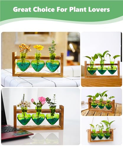 Nacome Plant Terrarium with Wooden Stand, 3 Heart Bulb Glass Vases | Wooden Stand Tabletop for Air Planter, Gifts for Mom Plant Lovers Mom Women Wife Grandma - color: Green