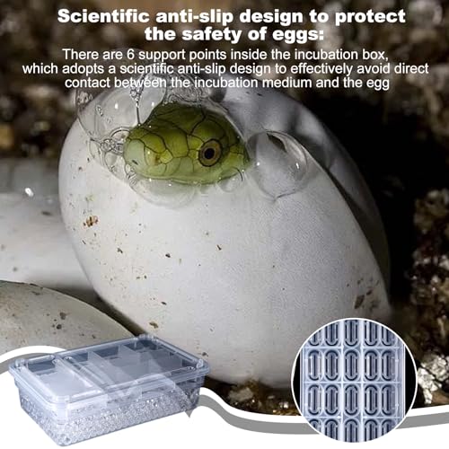 Reptile Breeding Hatching Box, PP Transparent Container with Clear Cover, Anti-Slip Incubator Box for Turtle, Gecko, Snake Egg Hatching