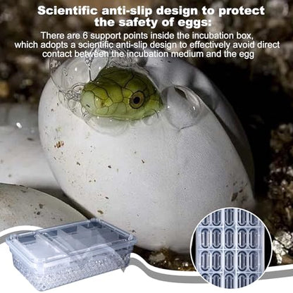 Reptile Breeding Hatching Box, PP Transparent Container with Clear Cover, Anti-Slip Incubator Box for Turtle, Gecko, Snake Egg Hatching