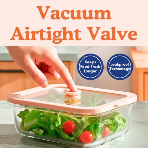 Non-Toxic Glass Food Containers with Lids, 4-Pack, 21 oz, Airtight, Gray | Plastic & BPA free. Glass body, glass lid & platinum silicone seal. Airtight & leakproof. Freezer & microwave safe. - color: Gray, size: 21 Oz
