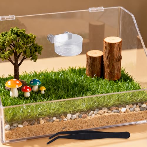Jumping Spider Feeding Dish Set, Magnetic Water Dispenser Bowl Reptile Feeding Tweezers & 2pcs Jumping Spider Enclosure Decor Accessories for Small Animal Stuff