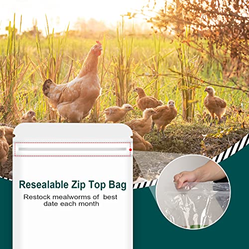 44LB Non-GMO Dried Mealworms, 100% Natural Large Size No Moisture, Mealworms for Chickens, Birds, Hedgehog, Hamster, Fish, Reptile, Turtles - size: 44 Pound (Pack of 1)