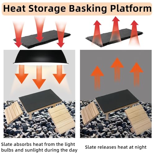 Wooden Bearded Dragon Platform Reptile Basking Platform with Slate Stone Tank Accessories for Leopard Gecko Lizard Turtle Snake (Large, 11.8 × 7.9 Inches)