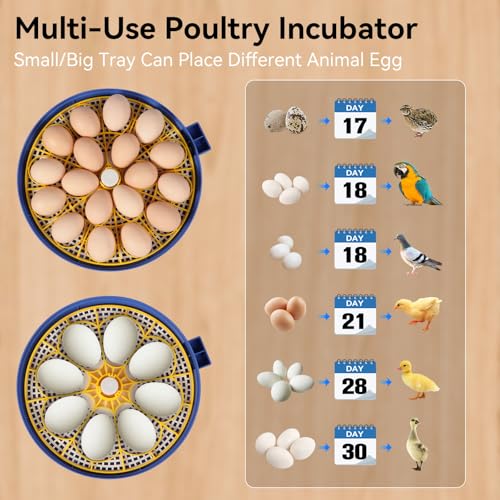 18 Egg Incubators for Hatching Eggs, Chicken Egg Incubator with Automatic Egg Turning and Temperature Humidity Control, 360° Clear View Lid or Home, Farm, Classroom, Hatching Chicken, Duck,Quail,Goose - size: 18 Egg Incubators