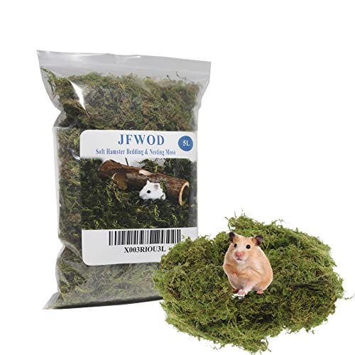 5L Forest Moss for Hamster Syrian Gerbils Bedding, Natural Moss Perfect for Potted Plants, Terrariums, Reptile Tanks and Live Creature Projects