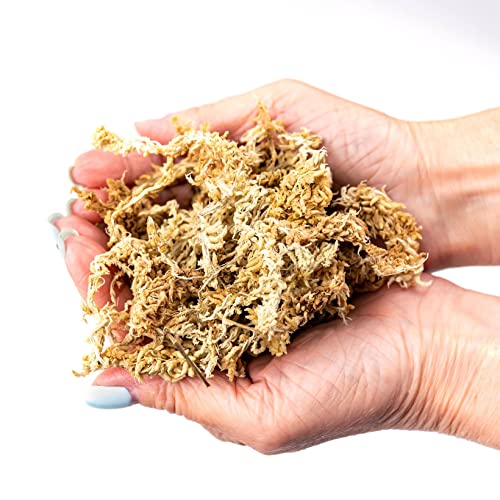 Premium New Zealand Sphagnum Moss by Gardenera - Organic Hand Mixed Long Fibered Sphagnum Moss Orchid - 1 Quart