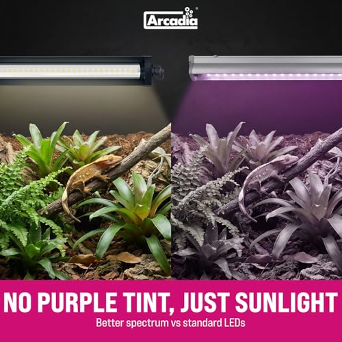 Arcadia LumenIZE Jungle Dawn LED Bar 19" Long 24 Watts High Lumen Output – Smart LED Light Bars for Indoor Reptiles Terrariums, Plants and Bioactive Setups, Long Lasting Easy to Use Natural Lighting
