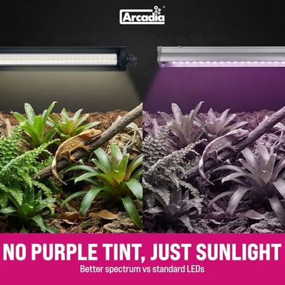 Arcadia LumenIZE Jungle Dawn LED Bar 19" Long 24 Watts High Lumen Output – Smart LED Light Bars for Indoor Reptiles Terrariums, Plants and Bioactive Setups, Long Lasting Easy to Use Natural Lighting